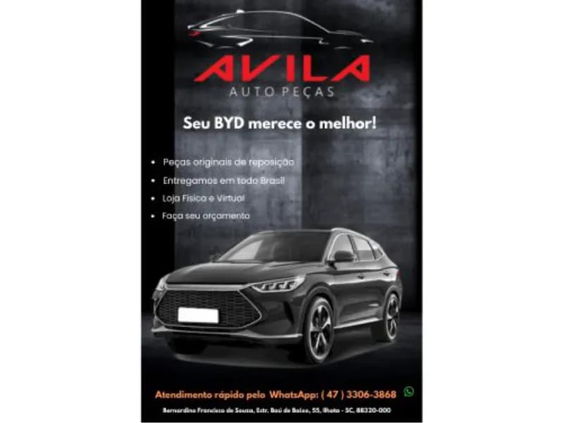 BYD SONG 2024