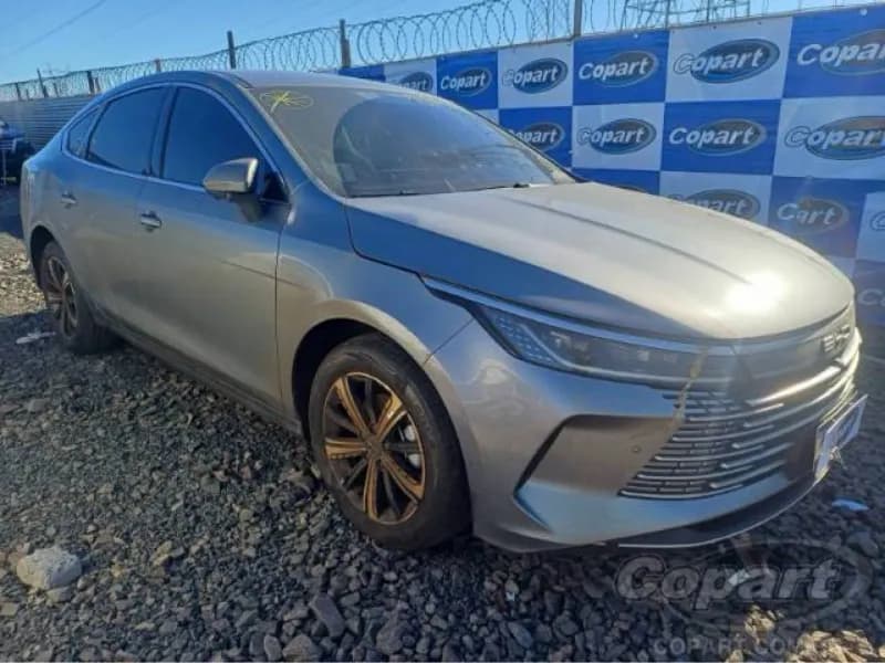 BYD KING 2025