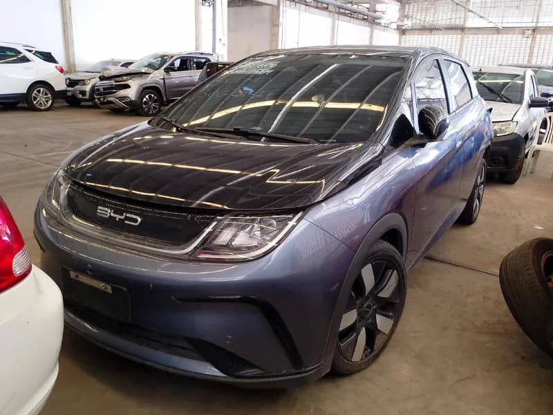 BYD DOLPHIN PLUS 2024