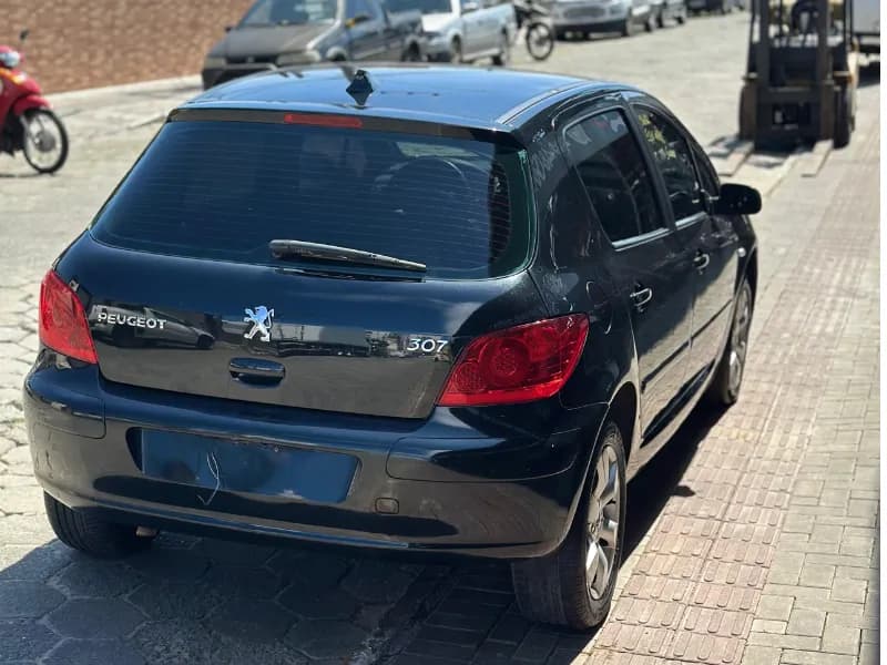 PEUGEOT 307 2010