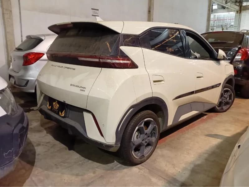 BYD DOLPHIN MINI 2025