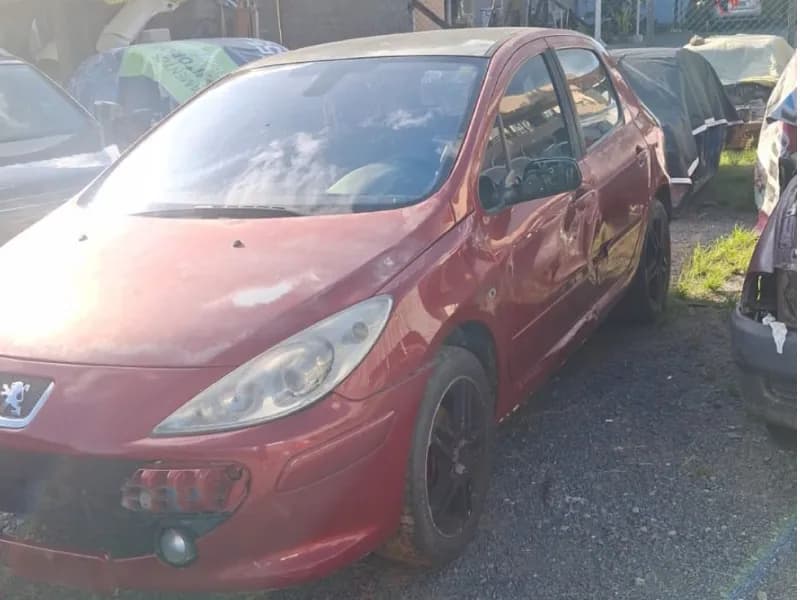PEUGEOT 307 2008