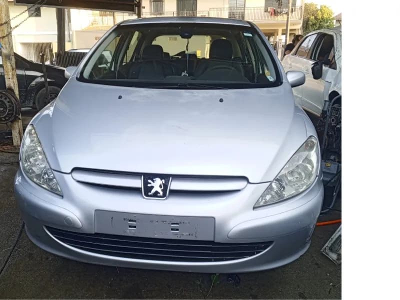 PEUGEOT 307 2004