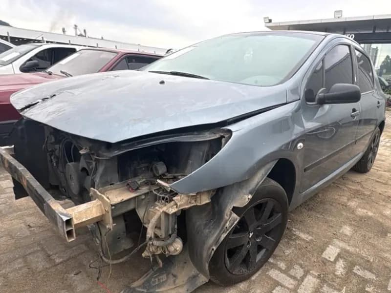 PEUGEOT 307 2007