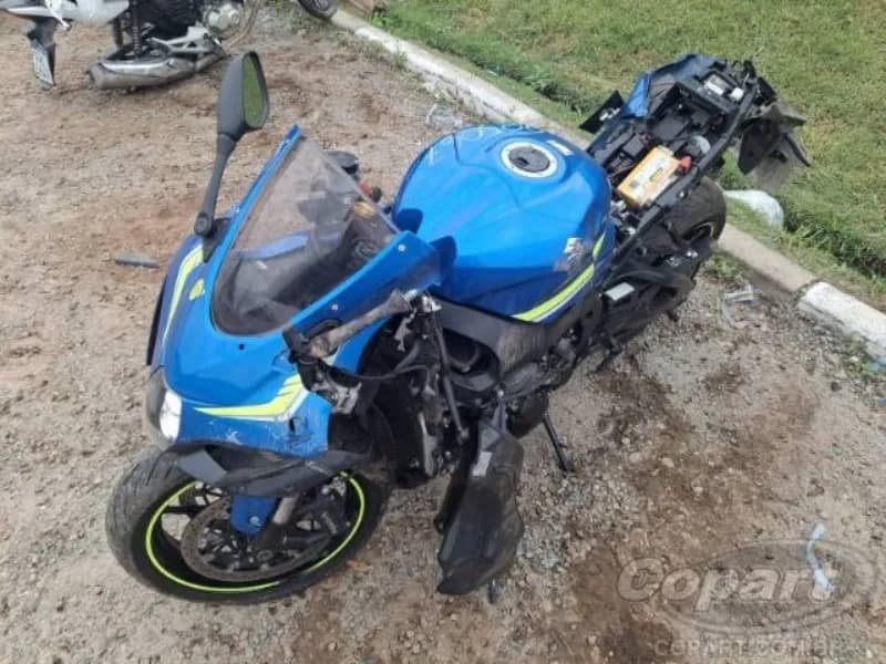 SUZUKI GSX 2019