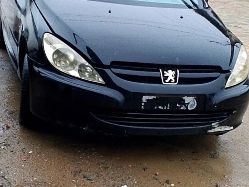 PEUGEOT 307 2004