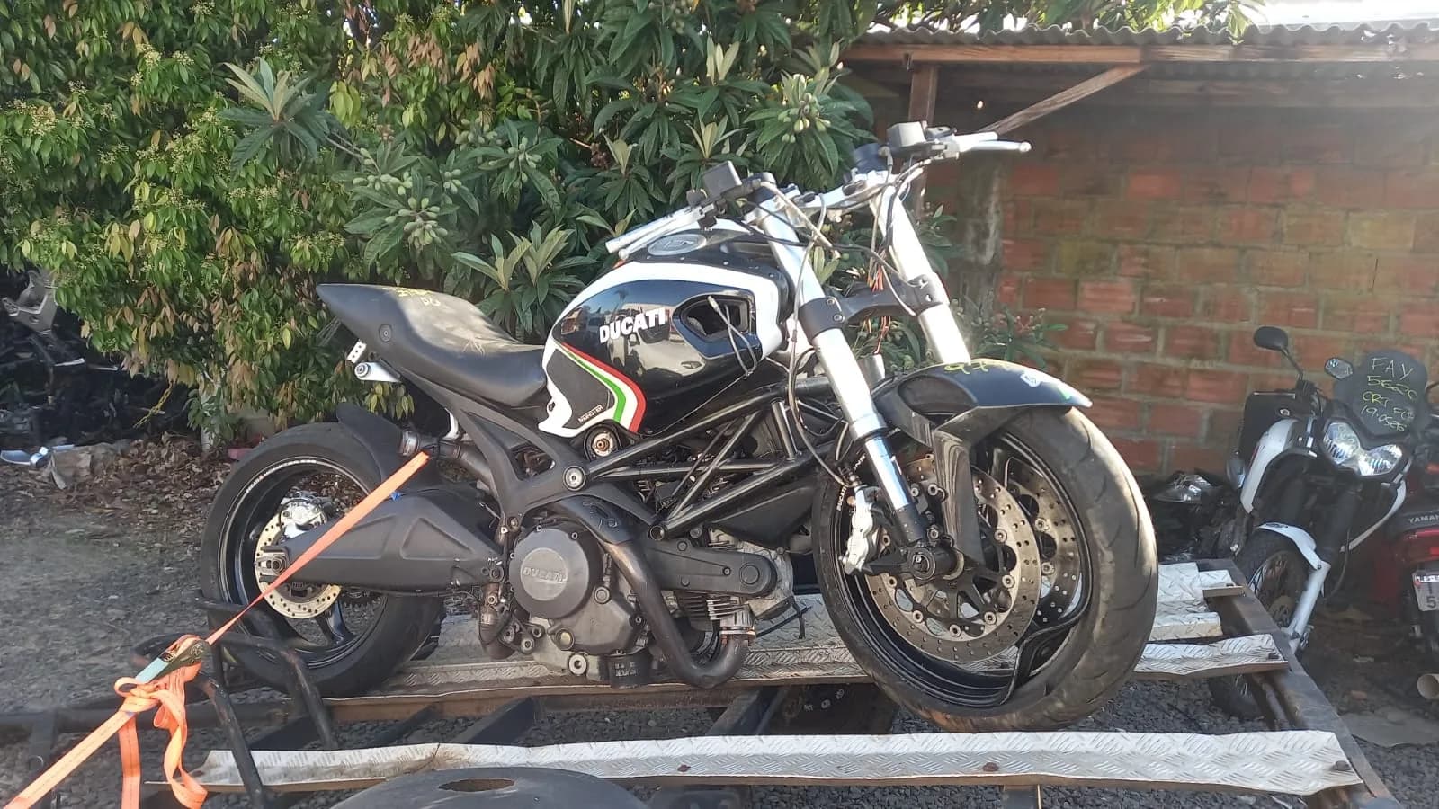 DUCATI MONSTER