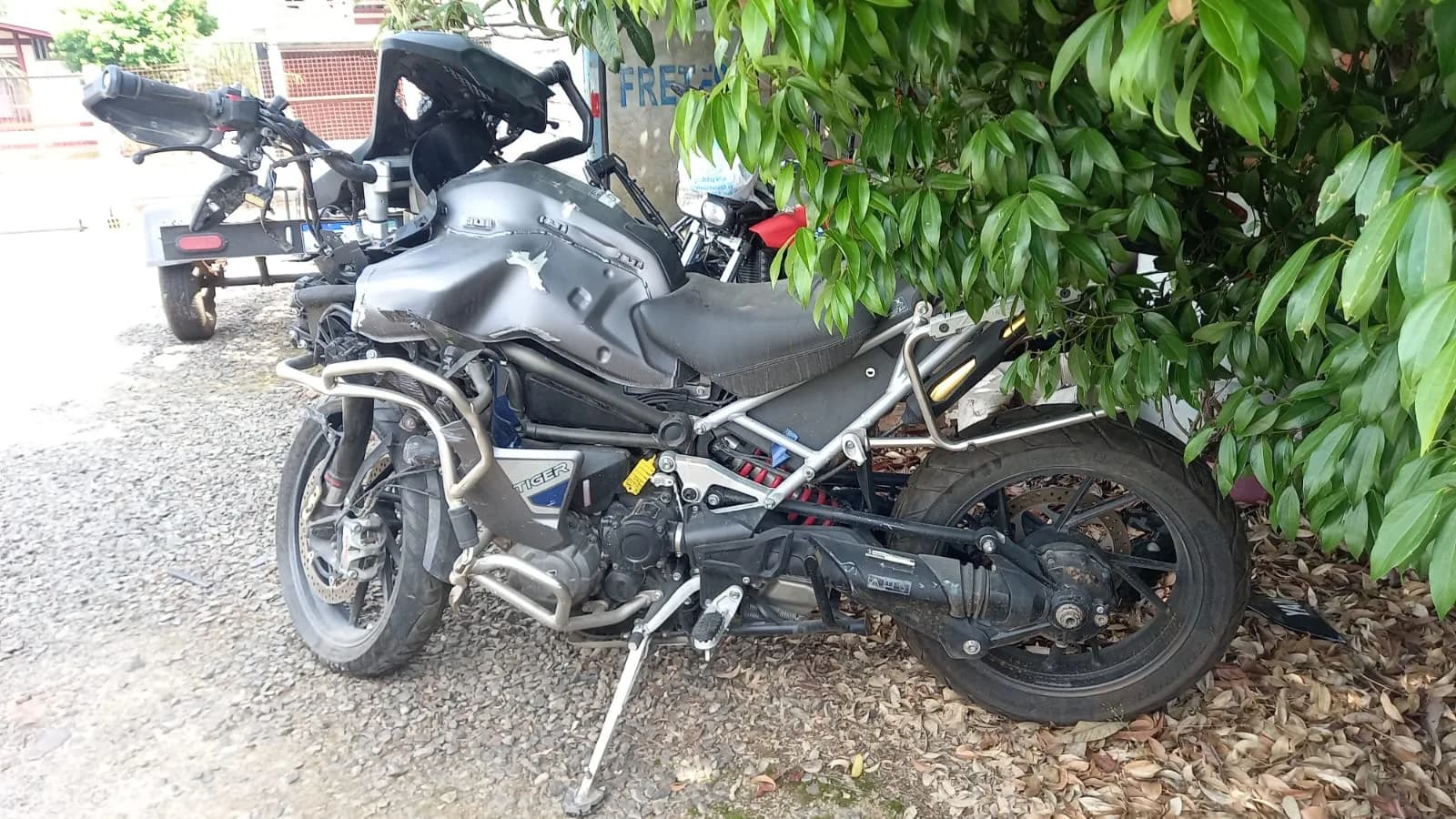 TRIUMPH TIGER 2022